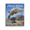 imageField ampamp Stream Spring 25 Journal Volume 130 Issue 1